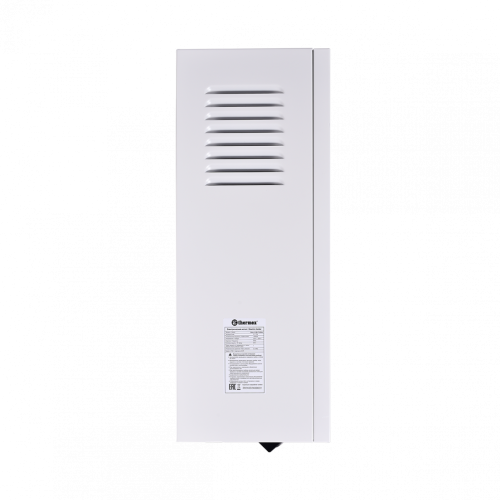 Электрический настенный котел THERMEX Boss 12 Wi-Fi White (511 704 Термекс)