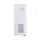 Электрический настенный котел THERMEX Boss 12 Wi-Fi White (511 704 Термекс)