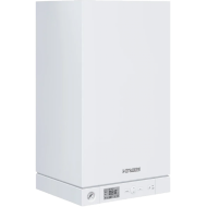 Котел газовый настенный Hermes Legacy 100-W A1HB001 Umlauf 24 кВт Viessmann (8010027 Висман)