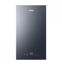 Настенный двухконтурный газовый турбированный котел HAIER EvoLine 2.24 Ti (GE0Q69E0BRU ХАЙЕР)