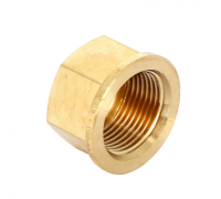 Заглушка с внутренней резьбой 3/4" Viega