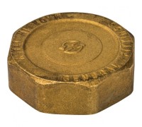 Заглушка ВР 2" Stout