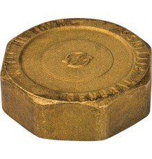 Заглушка ВР 2" Stout