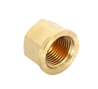 Заглушка с внутренней резьбой 1/2" Viega