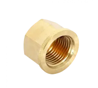 Заглушка с внутренней резьбой 1/2" Viega