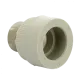 Переходник PPR с наружной резьбой 50x1 1/2" FV-Plast